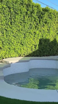 Massive schwule orgie am pool