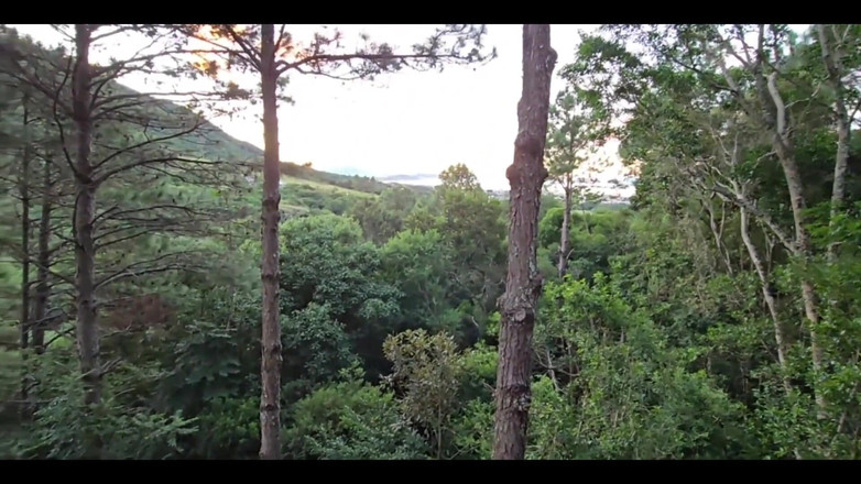 Jenni Faria: Seduje a mi padrastro hasta que me folló en el...