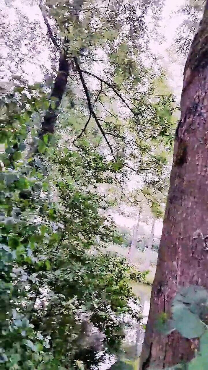 Slutboyben: Slutboyben Cam4 Sexy Pornohvězda exhibicionista V