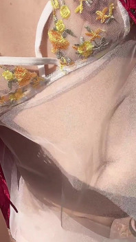 Pussy Piss Dirt for Care Litter Tree