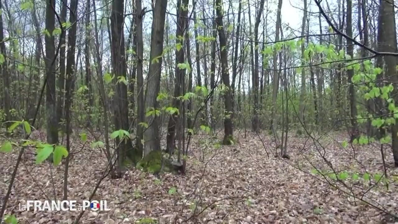 French Gonzo: Una giovane troia arrapata si fa un giro sporco dal...