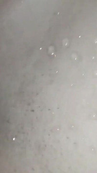 I Fuck Her in the Shower at Our Holidays