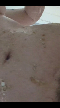 Graham Crackers