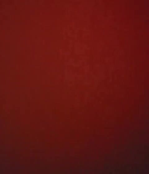 Chandler Dong: Gruby kutas