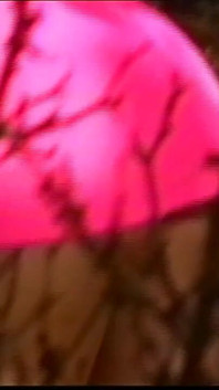 Sexy and Hot Young White Girl Gets Fucked Doggy Style by Big Hard Black Cock