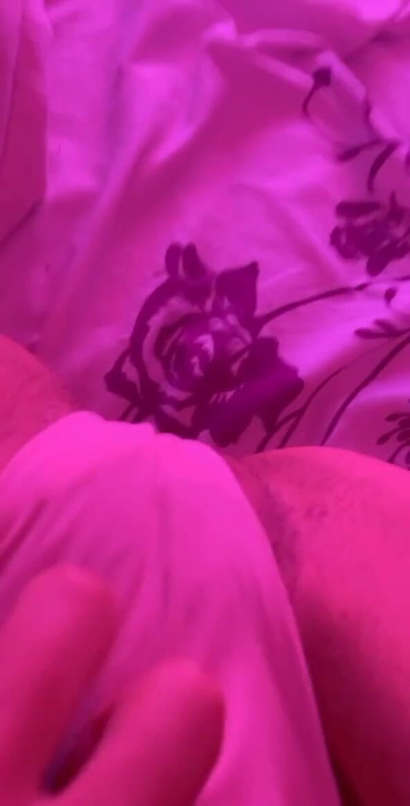 FANS OF SOFIA SWEETSECRETT: Sollen wir ein bisschen sexting machen? Ich wurde von Sofia...