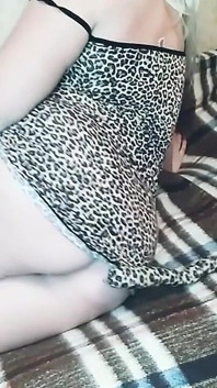 Sexy Kitty Costume Big Ass Big Tits