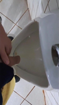 Aproveché El Baño Público Para Orinar Por Todas Partes.