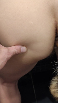 Double Penetration with Anal Tail and Dick in Pussy