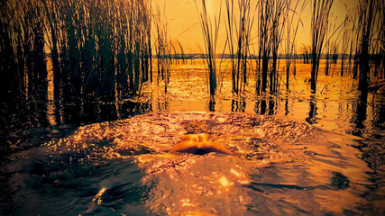 White Ukrainian Dick: नहाना नग्न। 4.