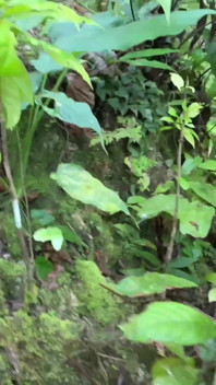 Risky Adventure Sex