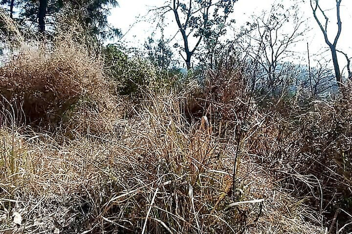 Gangbang straight: Genç Hintli ordu çocuğu ormanda mastürbasyon yapıyor