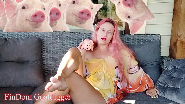 FinDom Goaldigger: Revisione del modulo di domanda per schiavo cash
