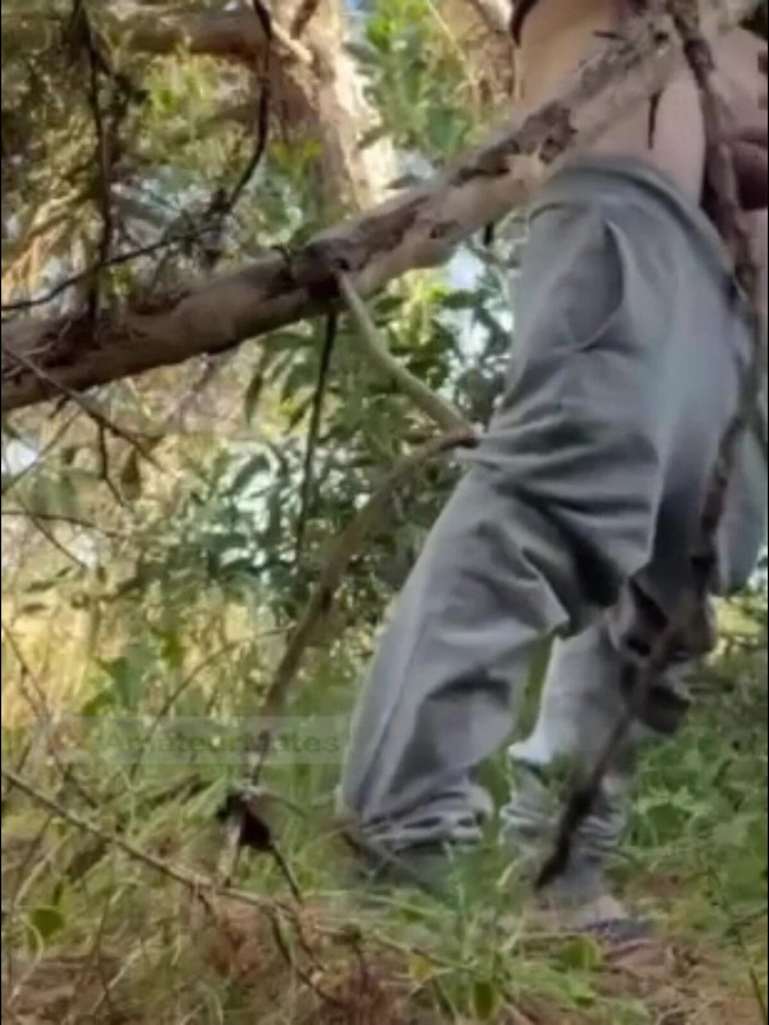 AmateurMates: Un Caldo Ragazzo Amatoriale Succhia E Lecca Il Culo Nei...