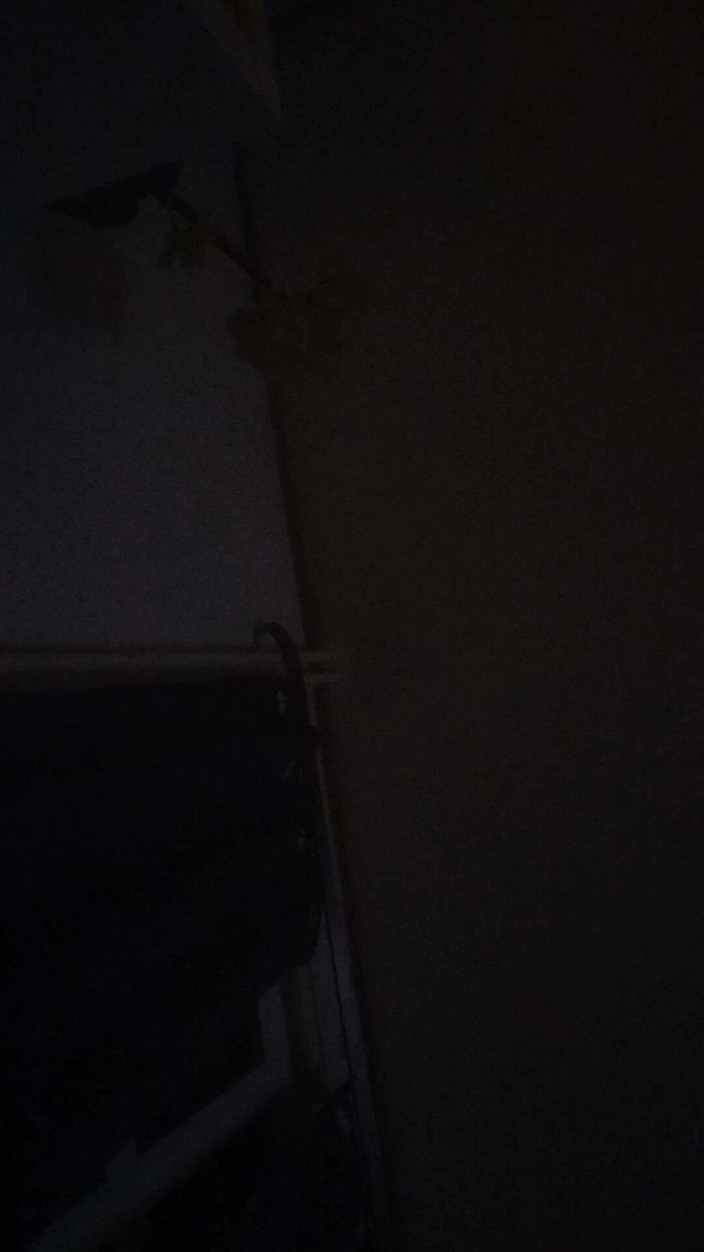 Master skjald: Duńska Niewolnica Atena