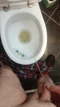 Uncut Cock Morning Pissing in Toilet
