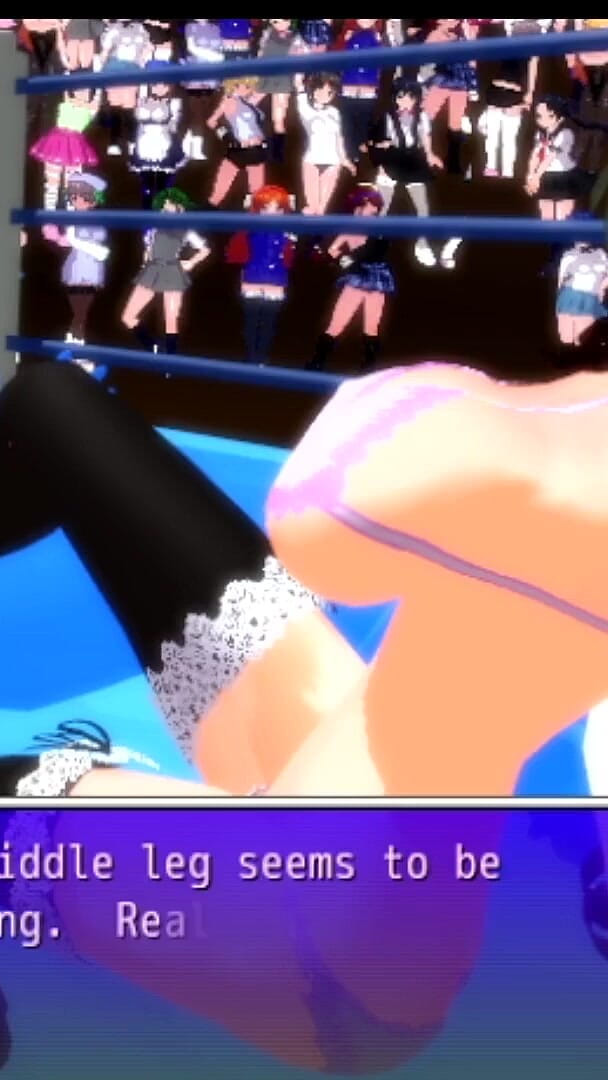 Boko Fan: Ultimate Fighting Girl Type a (hard and Very Hard)(fanclub)