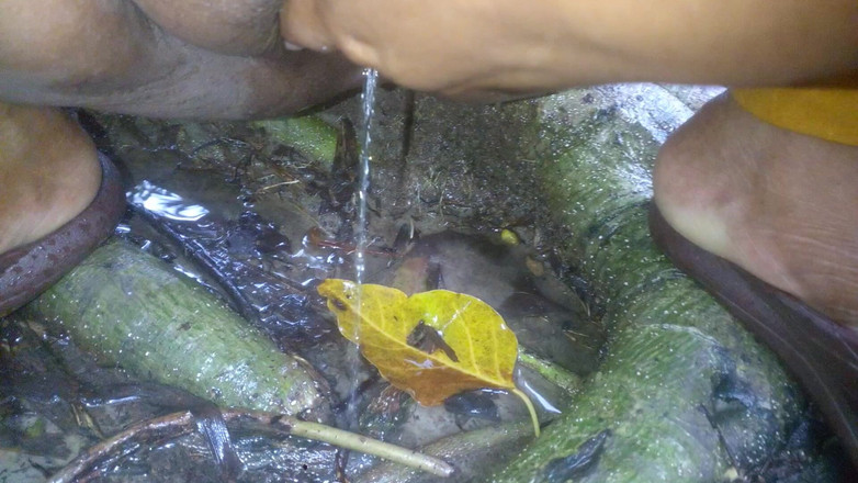 Sadia vabi: Awek muda kampung Sissu