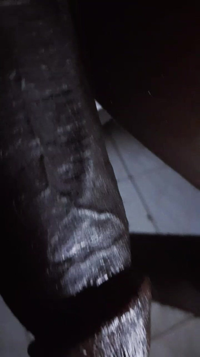 SolidmanGo: 黑色派在黑色蜂蜜的心情。