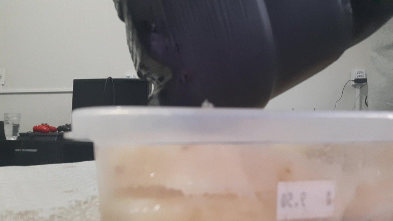 Bladexfeet: 用靴子碾碎菠萝