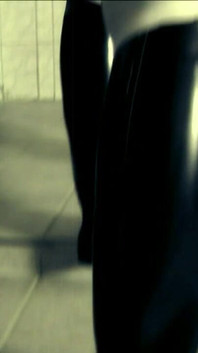 Trailer494