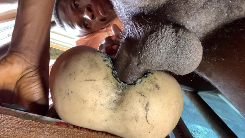 Bangcum8: Amateur grote kont is te strak laat me snel klaarkomen...