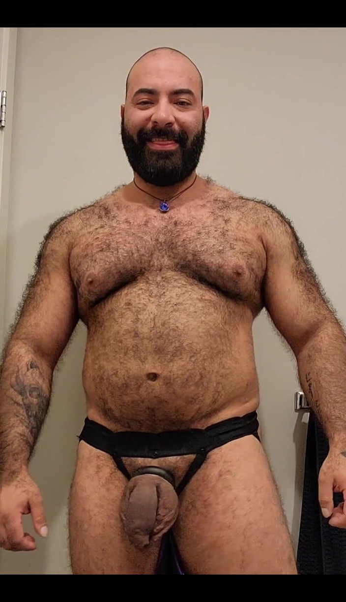 Lobo: Bear Is Here