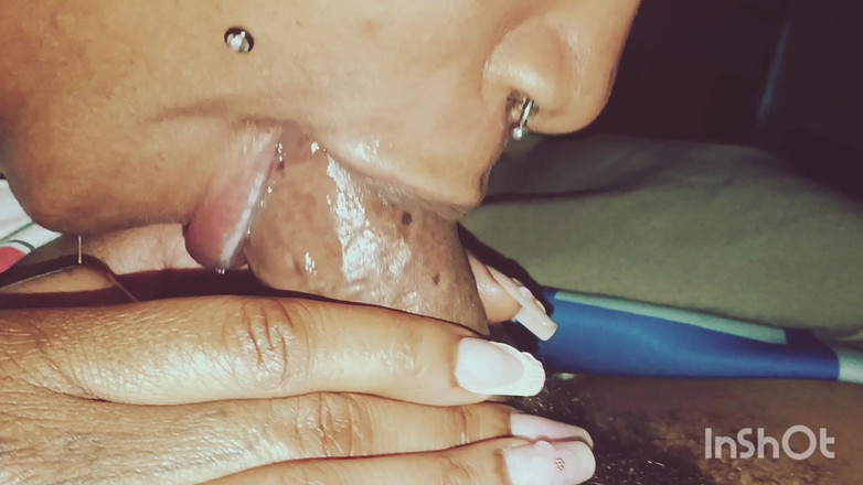 The Nasty House: Cronicile gâtului vol. 1