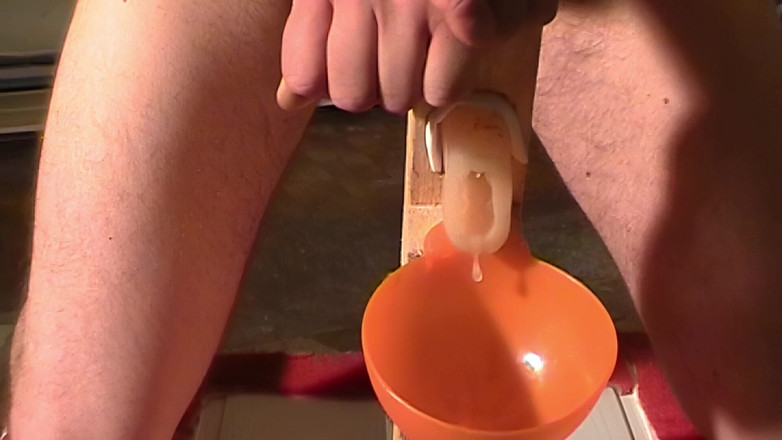 Mark Hannes: 흑인 대물 자지 따먹기