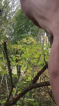 Distracție anală cu Ramură de copac în pădure