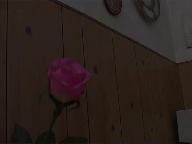 Xtime Network: セクシーなストッキングで成熟した赤毛アマチュアはお尻弄が好き