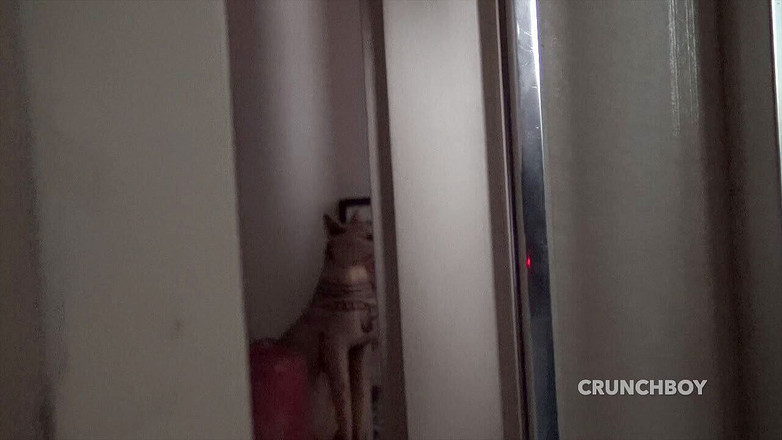 ROMANTIK FRENCH FUCKER XXL: 흑인 대물 자지에게 따먹히는 라틴계 루달로