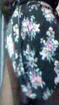 Pelacur Shemale miang