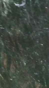 Bhabhi Ji Elbisesi