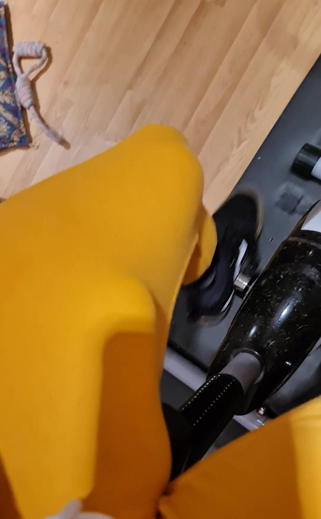 Bulge Doing Cardio (Amadeus Mode)