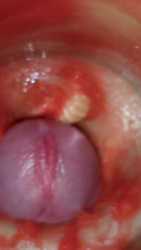 Xuất tinh mà không có tinh trùng. Máy ảnh nội bộ tuyệt vời. 4K