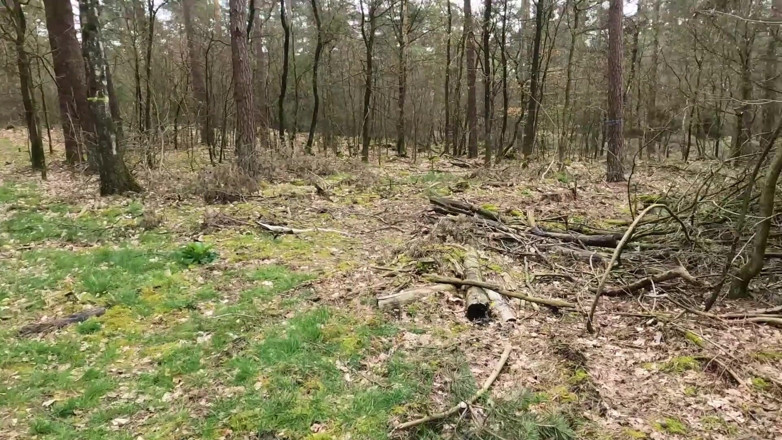 Bikergirl_97: Ma première baise en plein air avec insémination faciale