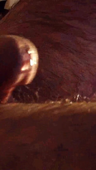 Intrusive close up pink cock.wmv