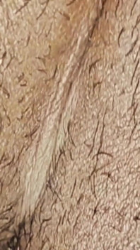 Sex Homemade Desi Girl Hot Fucked Video