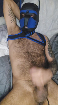 Pup Talking Dirty to You