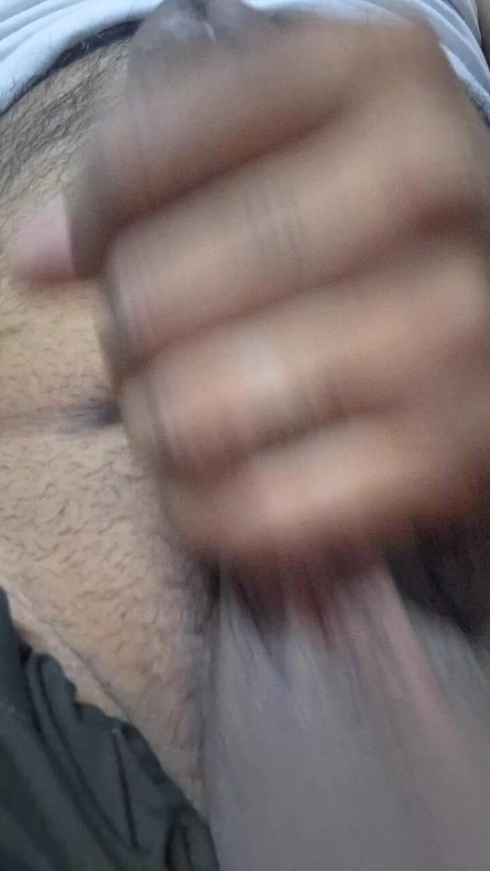 Shahzadi: पाकिस्तानी टाई गाइ