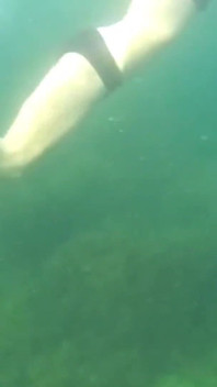 Did You Already See Y Swimming Video?