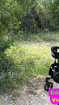 Asistenta sexy Vicki se plimbă în parc expunându-te și tachinându-te