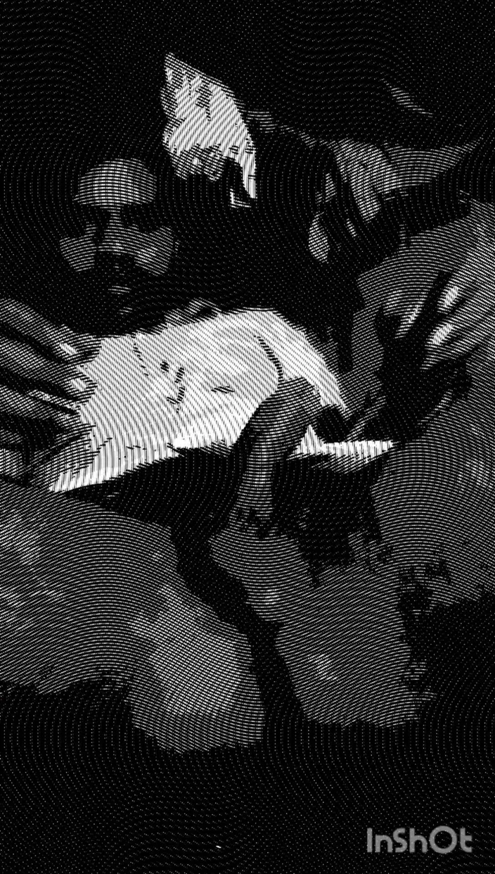 Optimalsuryansh: Un garçon trémousse sa bite