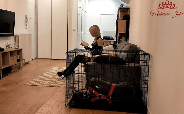 DeesseJulia: Maitresse Julia. 라텍스 펨돔. 내 처녀 노예는 그의 엉덩이를 따먹어.