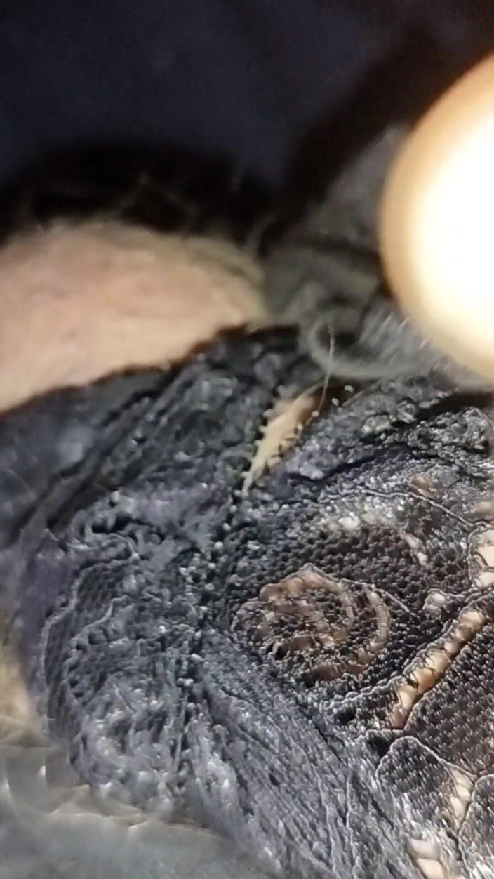 cyryl_444: Masturbasi pakai celana dalam