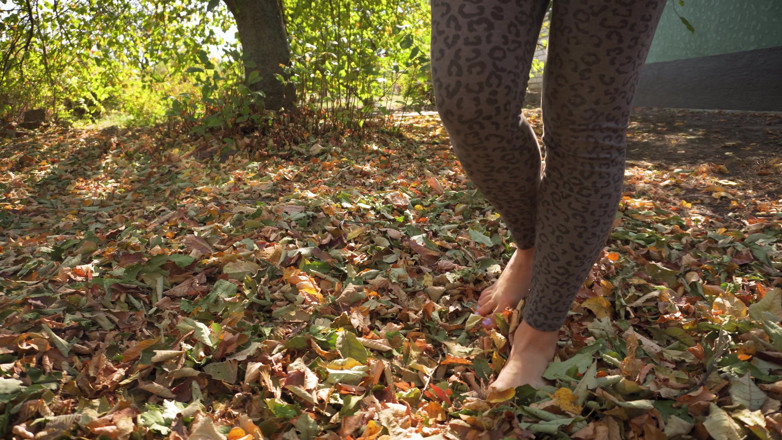 Teasecombo 4K: Leaves Crunching Underfoot Asmr