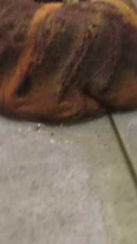 Nasty Pissing Bitch