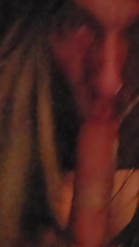 Xenia