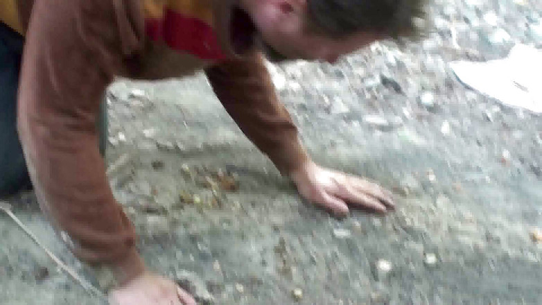 Femdom Austria: Picknick im wald mit einem hungrigen betteln